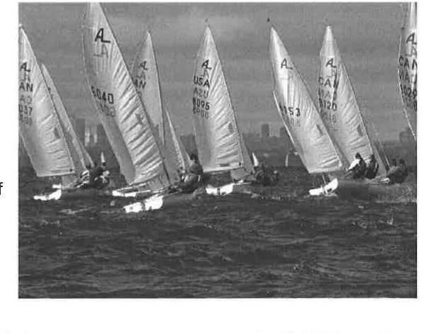 A fleet of Albacores racing, city skyline visible on the horizon