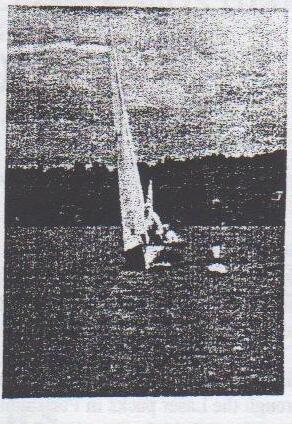 A lone Albacore heeled over on open water near the shoreline