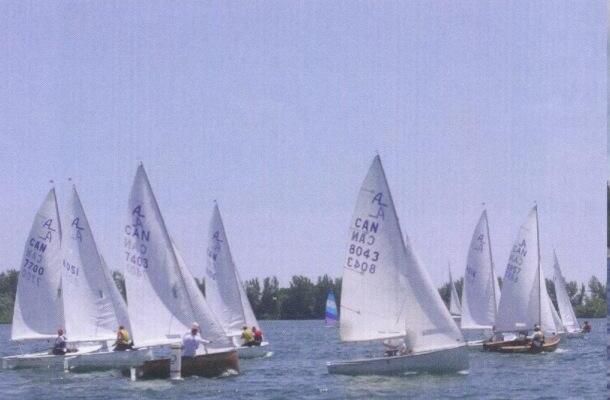 A fleet of Albacores sailing near a shoreline, sail numbers including CAN 7700, 8043 and 8112
