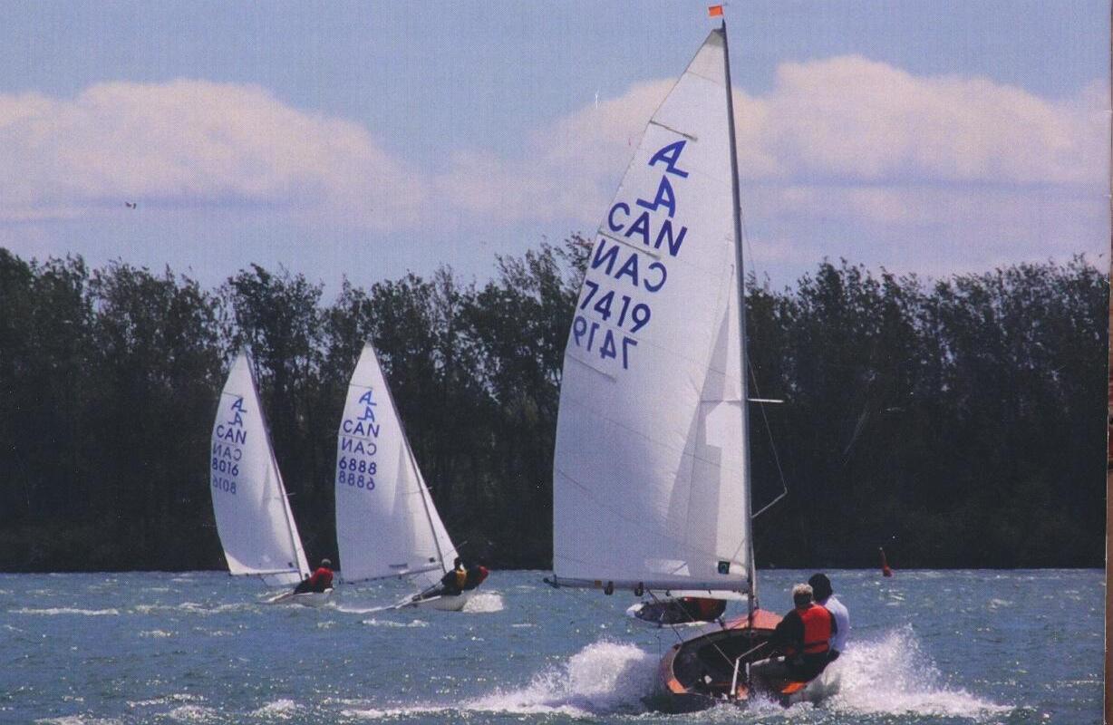 Three Albacores planing hard downwind toward the camera, sail numbers CAN 7419, 8016 and 6888, with a treeline behind
