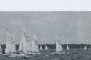 A pack of Albacores racing upwind with a treeline behind