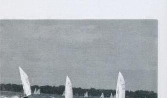 Three Albacores sailing downwind with a treeline behind