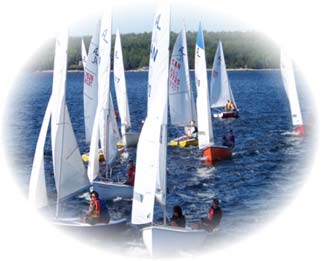 A fleet of Albacores sailing