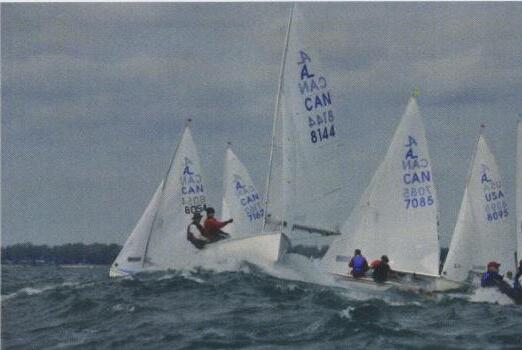 Four Albacores sailing together, sail numbers 8144, 7085, and 8095 visible