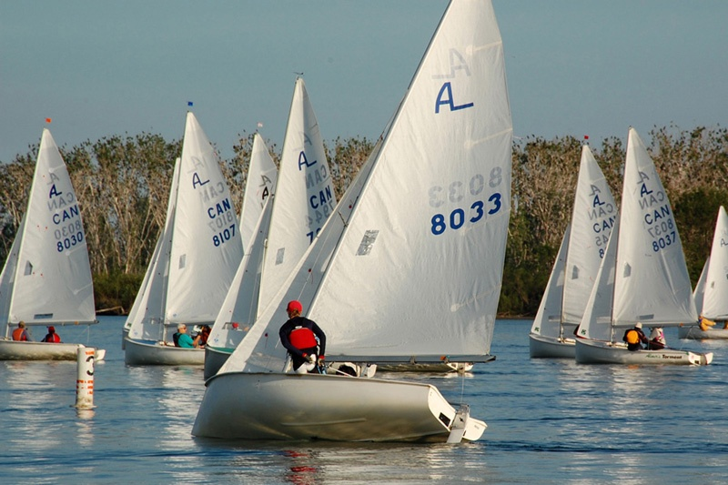 A fleet of Albacores racing on a sunny evening