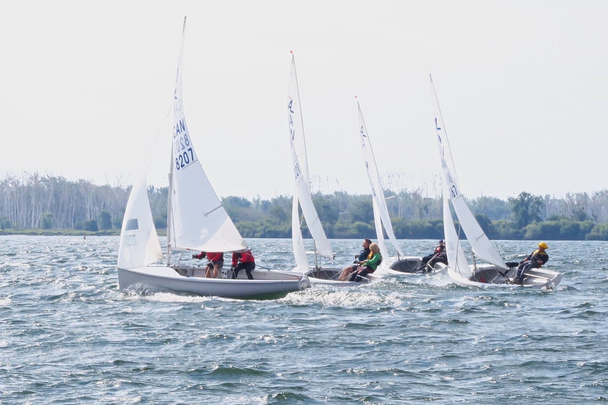 Four-boat Albacore fleet racing near Toronto
