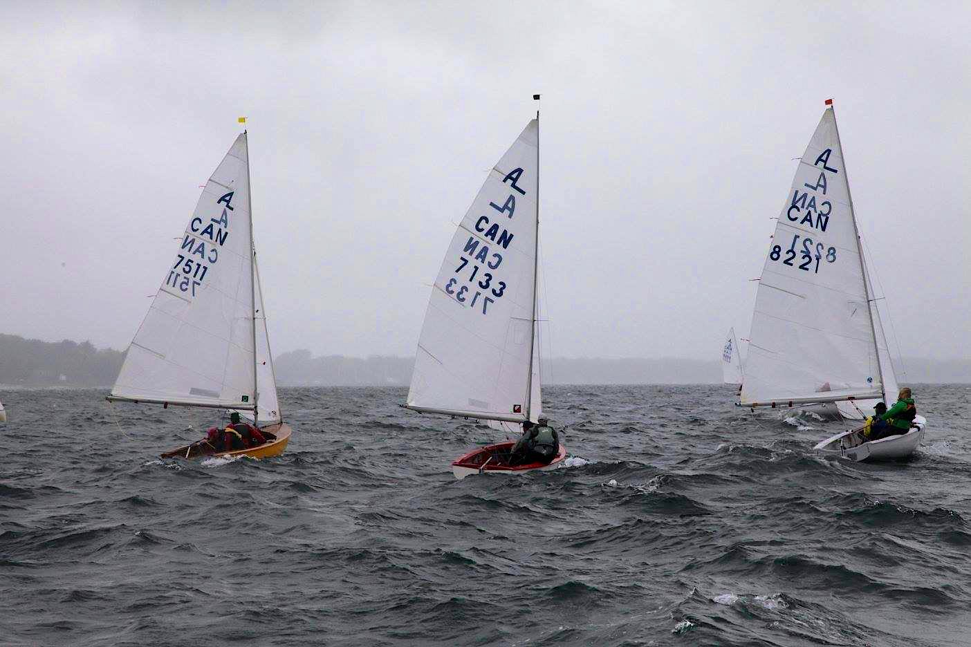 Three Albacores racing upwind in grey, rainy conditions