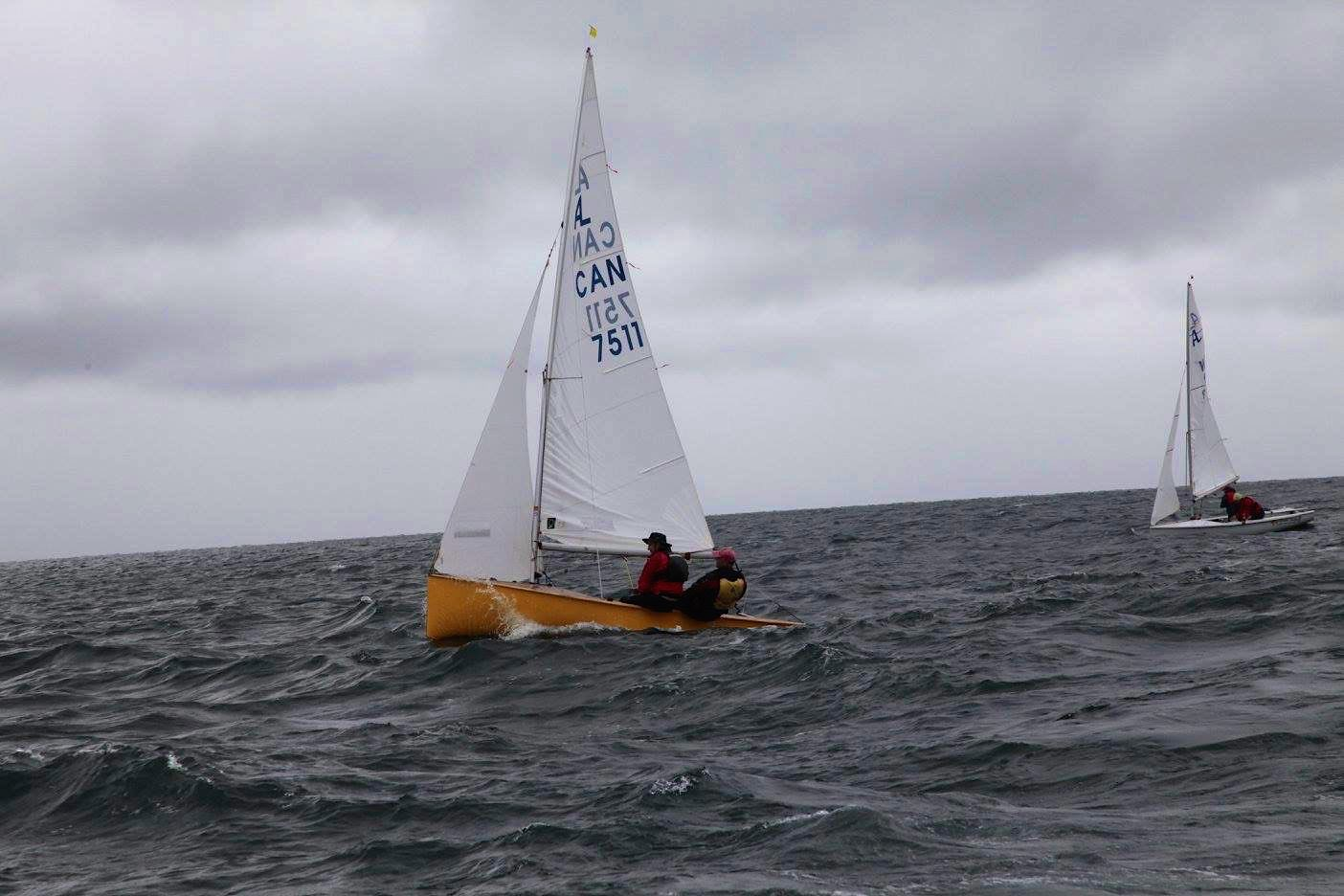 A yellow Albacore racing in grey conditions, Canadians Day 2