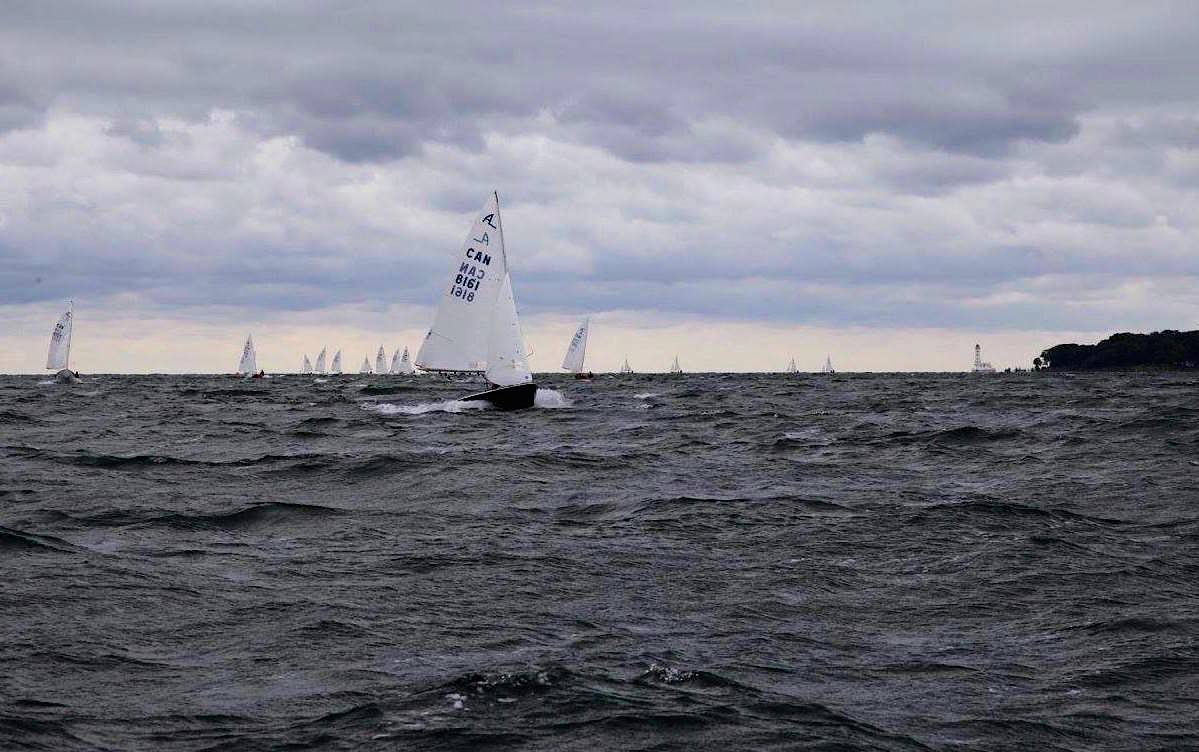 A lone Albacore sailing with the fleet visible on the horizon, Canadians Day 3