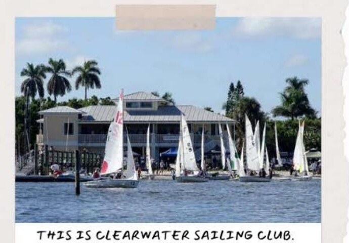 Clearwater Sailing Club, racing surrounded by palm trees