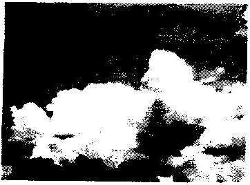 Fig. 2C: a puffy white cumulus cloud against a dark sky