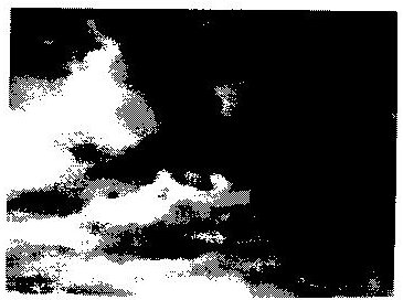 Fig. 4: wispy cirrus clouds against a dark sky