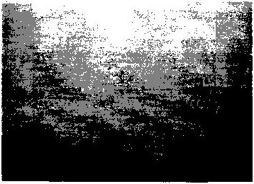 Fig. 2A: a sky of low, continuous stratus cloud