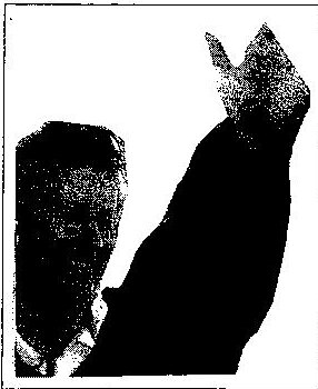 Rosemary Helmer raising her hand to approve the minutes of the 1996 AGM