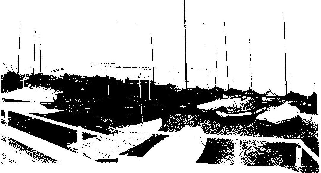 Albacores rigged in the dinghy park at Hayling Island Sailing Club