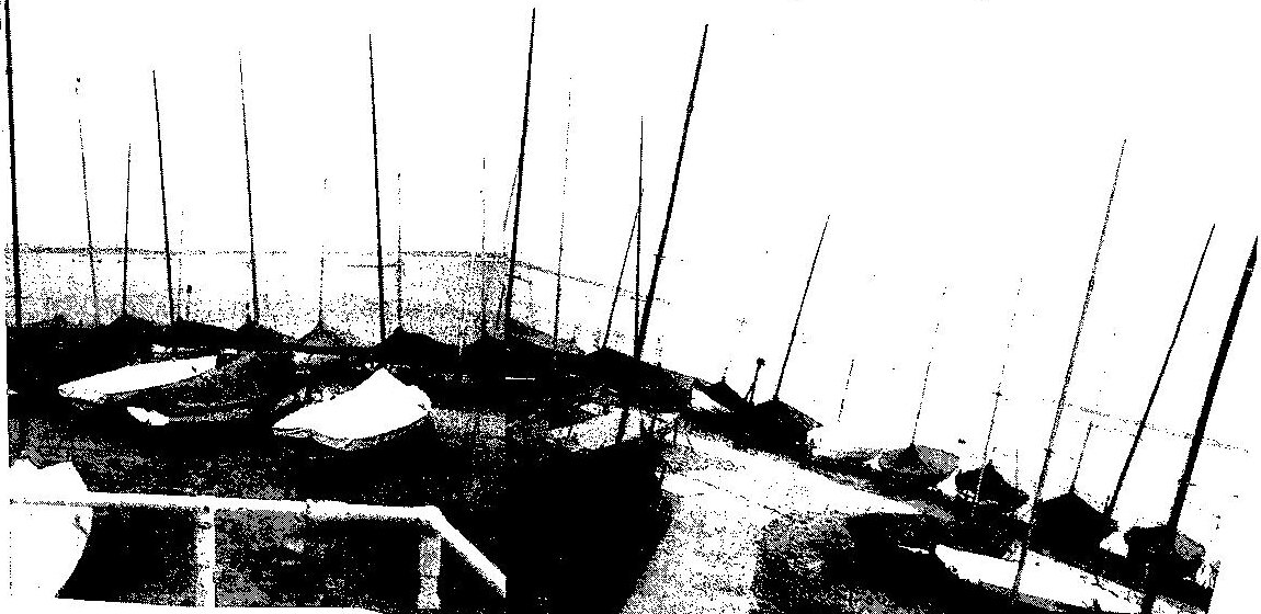 Masts of Albacores lined up along the waterfront at Hayling Island Sailing Club