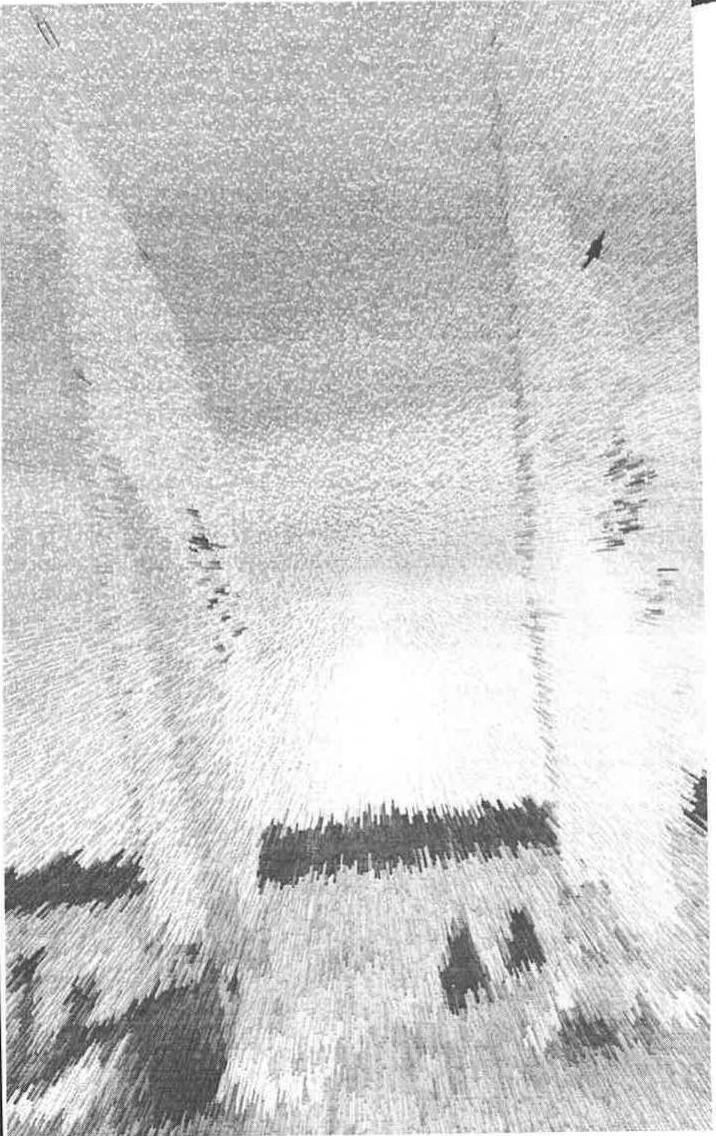 Stylized, streaked black-and-white cover photo of two white sails rising above a crowd