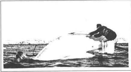 A capsized dinghy with one sailor standing on the centreboard to right it and another in the water beside the hull