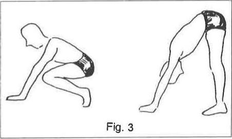 Fig. 3: a figure crouching with palms flat on the ground in front of the toes, then raising the hips with legs straight