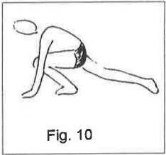 Fig. 10: a figure with both hands on the floor, one leg tucked under the body and the other extended behind
