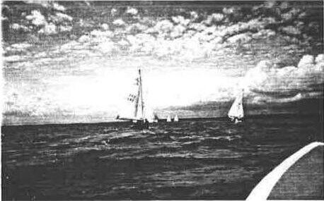 Albacores sailing on the bay under dramatic clouds, seen from the bow of another boat