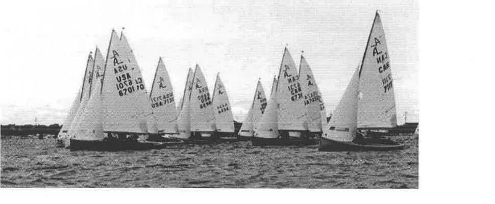 A large fleet of Albacores at a start line