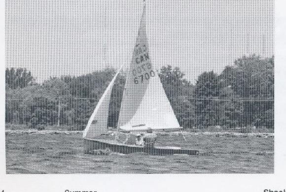 CAN 6700 sailing near a treeline