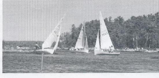 Fleet of Albacores racing offshore near a treeline