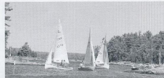 Fleet sailing near the Ojibway Club dock