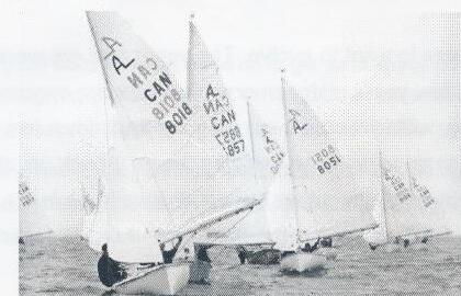 Albacore fleet running downwind
