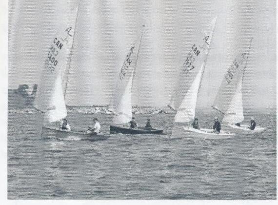 Albacore fleet reaching, four boats