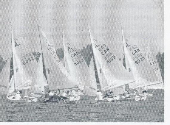 Albacore fleet close together, several boats