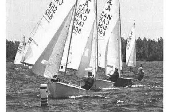 Four Albacores racing close together on a lake, trees along the far shore