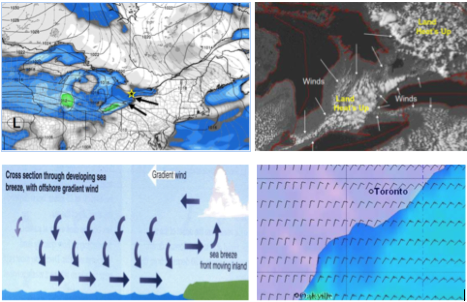 Weather GIFs